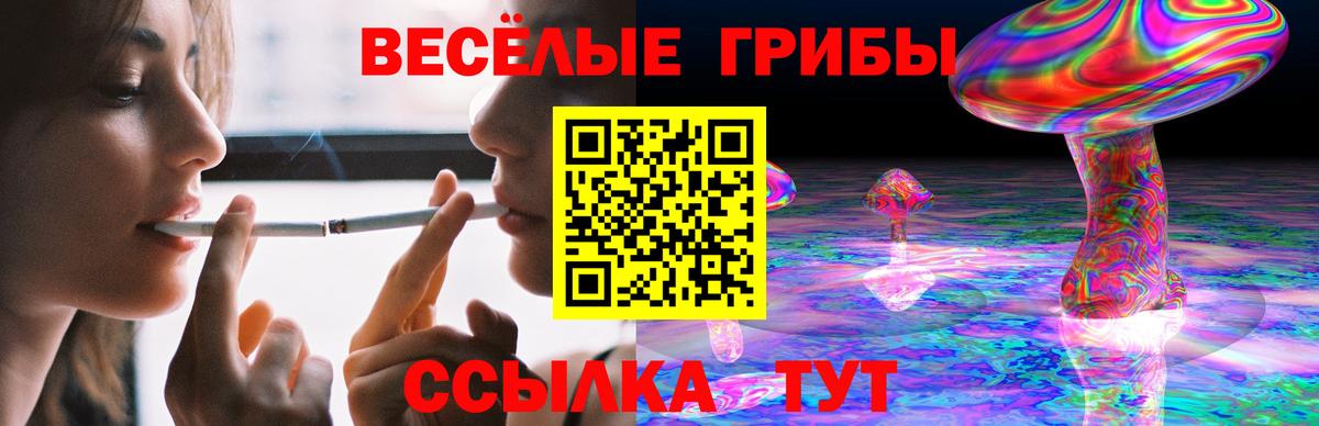 Камышин  Галлюциногенные грибы мухоморы  что такое наркотик  Псилоцибиновые грибы MAGIC MUSHROOMS  Вход с VPN 